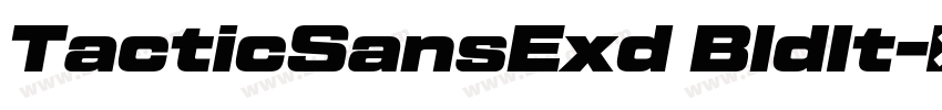 TacticSansExd BldIt字体转换